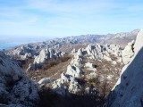 28. kukovi